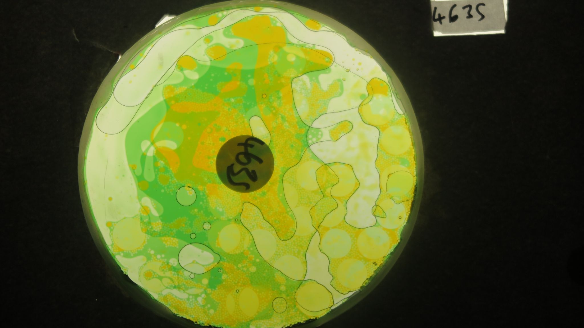 BV4635 bubble vision oil wheel